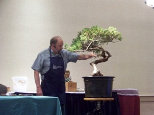 Chase Rosade juniper bonsai demonstration step 1 at MABS 2012 Spring Festival, NJ