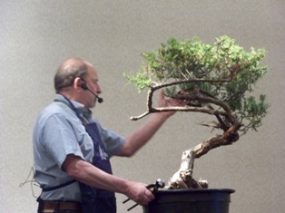 Chase Rosade juniper bonsai demonstration step 2 at MABS 2012 Spring Festival, NJ