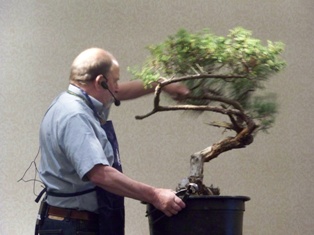 Chase Rosade juniper bonsai demonstration step 4 at MABS 2012 Spring Festival, NJ