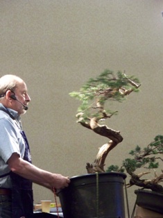Chase Rosade juniper bonsai demonstration step 9 at MABS 2012 Spring Festival, NJ