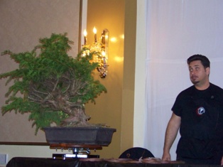 Great Swamp Bonsai Society bonsai display at MABS Spring Festival 2010, NJ bonsai club