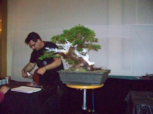 Bonsai exhibits at MABS Spring Festival 2010, Mid-Atlantic Bonsai Societies