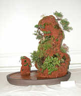 Specimen bonsai at GSBS Open House 2004