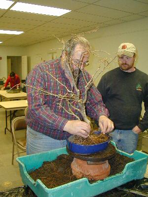 GSBS members Pete and Ken collaborating on bonsai at a meeting
