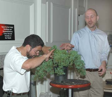 GSBS Annual Bonsai Show 2005 exhibit