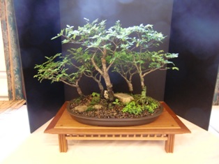 Featured exhibit at GSBS Annual Show 2011