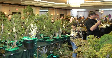 Vendor area at the GSBS Annual Bonsai Show