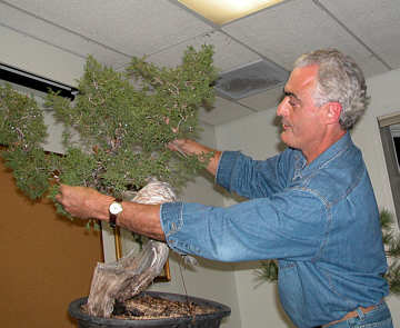 Martin Schmalenberg bonsai styling demonstration GSBS 2004