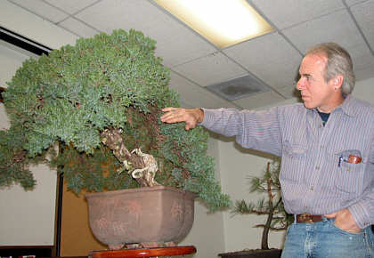 Martin Schmalenberg bonsai styling demonstration GSBS 2004