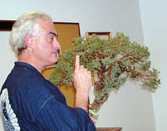 Martin Schmalenberg bonsai styling demonstration GSBS 2004