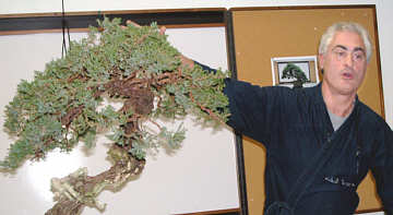 Martin Schmalenberg bonsai styling demonstration GSBS 2004