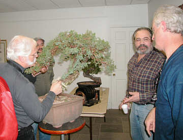 Martin Schmalenberg bonsai styling demonstration GSBS 2004